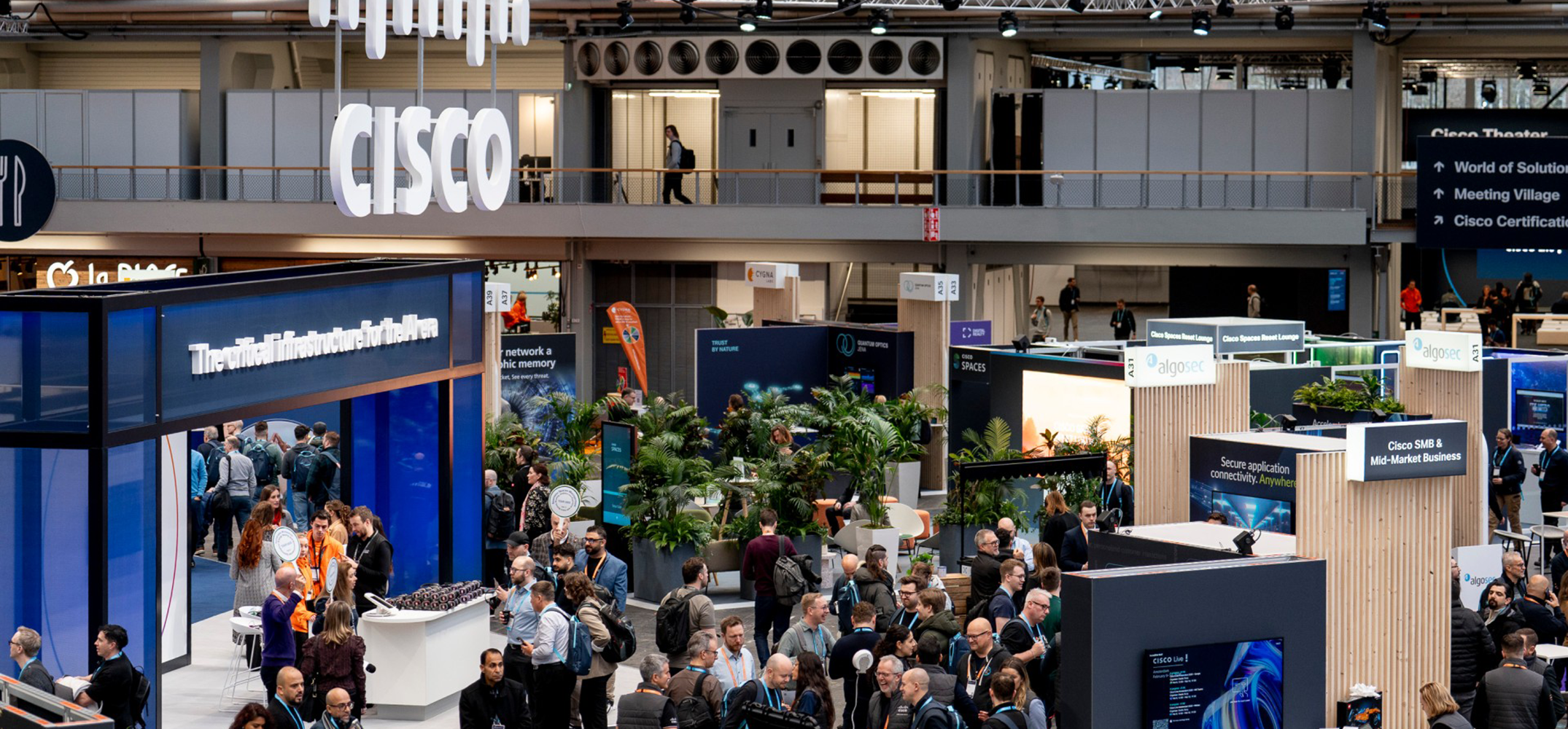 Paraflow Communications на Cisco Live 2026 в Амстердам (9–13 февруари)